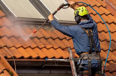 Démoussage et hydrofuge de toiture à Leyrieu